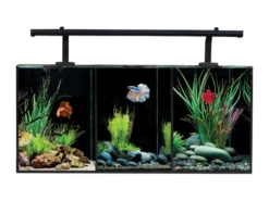 Aqua One Betta Trio Aquarium