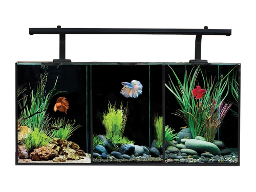 Aqua One Betta Trio Aquarium