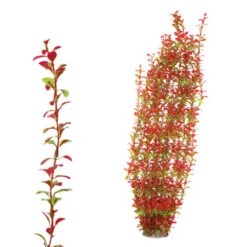Hugo Kamishi XL Plant Red/Green 95cm