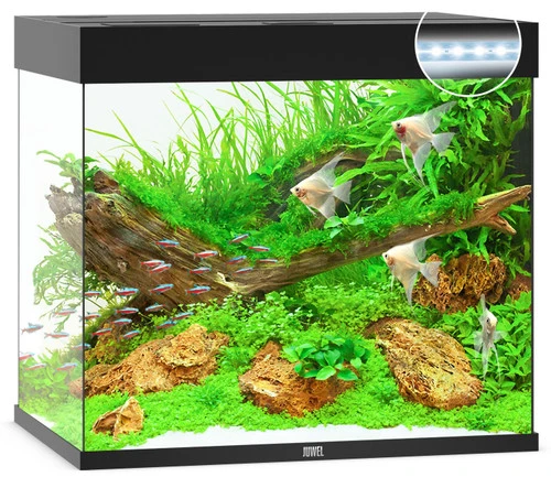 Juwel Lido 200 LED Aquarium And Cabinet Black - Image 4
