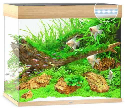 Juwel Lido 200 LED Aquarium And Cabinet Light Wood - Image 5