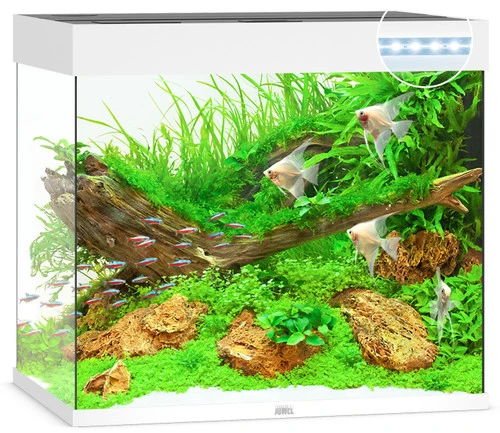 Juwel Lido 200 LED Aquarium And Cabinet White - Image 5